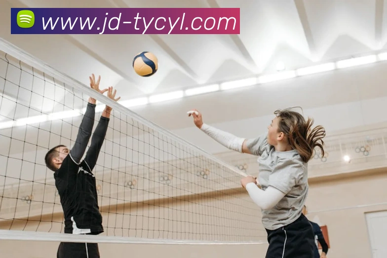 澳门太阳城APP 封面图